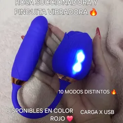 Rosa Succionadora y Pinguita V 