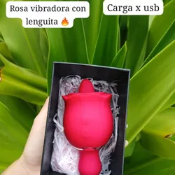 Rosa Vibradora con 👅
