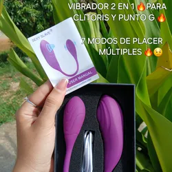 Vibrador 2-1