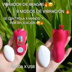 Vibrador de Bragas 