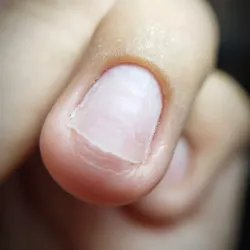 Módulo MANICURA