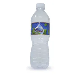 Agua Natural Ciego Montero 500ml