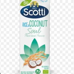 LECHE COCO Y ARROZ SCOTTI 1LT