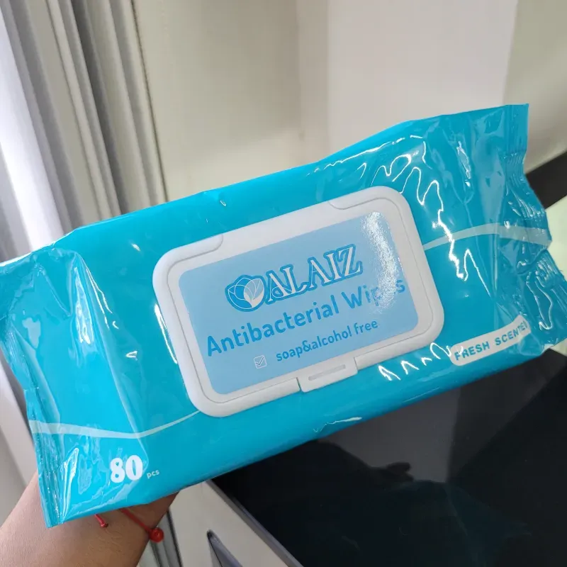 Toallitas húmedas Alaiz 80unid
