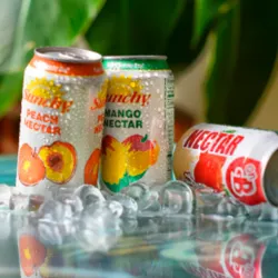 NECTAR SUNCHY
