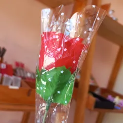 Flor roja con envoltura transparente