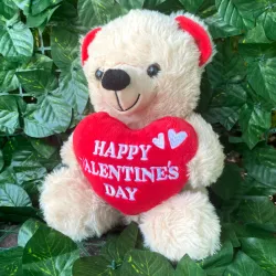 Osito Valentines Day