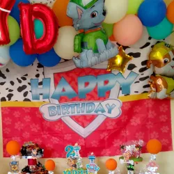 Telón Paw Patrol 