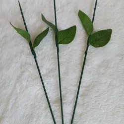 Tallos para rosas 