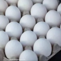Cartones de huevos