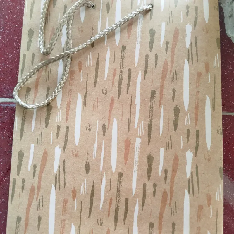 Bolsa de regalo 