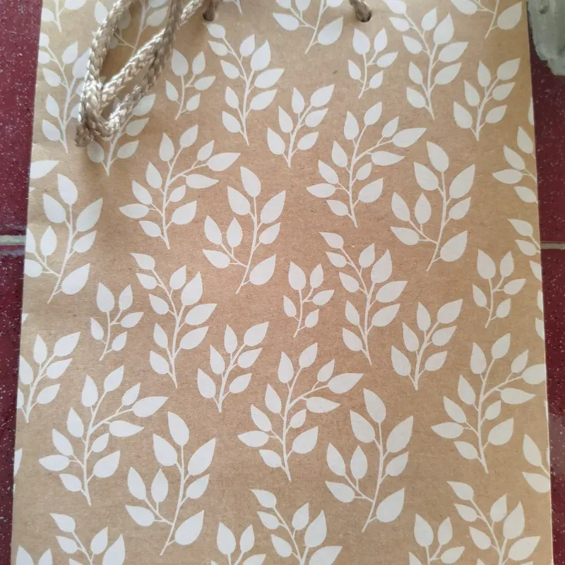 Bolsa de regalo 
