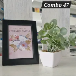 Combo 47