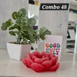 Combo 48