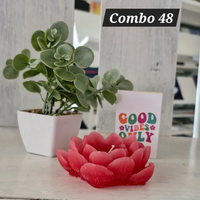 Combo 48