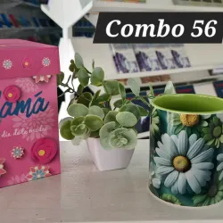 Combo 56