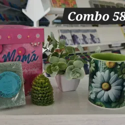 Combo 58