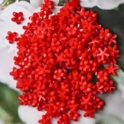 Flor de resina roja