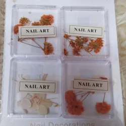 Naturaleza muerta 