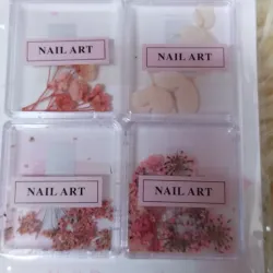 Naturaleza muerta  rosa 