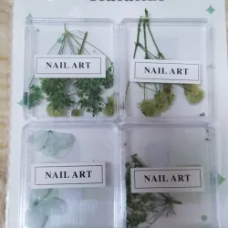 Naturaleza muerta  verde