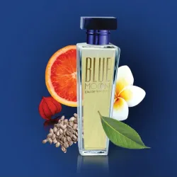 Perfume blue monn