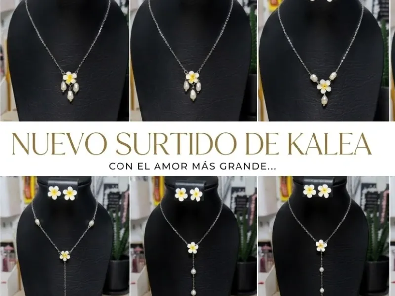 🤍✨Nuevo Surtido de KALEA✨🤍