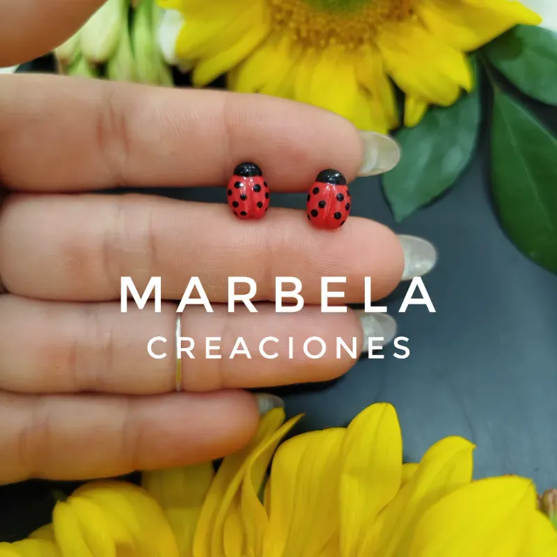 ✨Aretes de Mini Mariquita✨