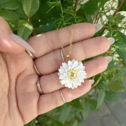 Cadena de Crisantemo