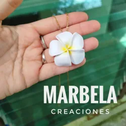 ✨Cadena de Plumeria Grande. Maxi Dije✨