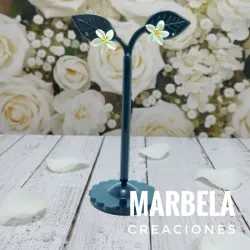 ✨COLECCIÓN LIZ✨