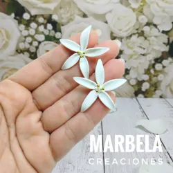 ✨COLECCIÓN LIZ✨