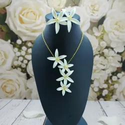 ✨COLECCIÓN LIZ✨