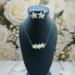 ✨COLECCIÓN LIZ✨