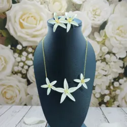 ✨COLECCIÓN LIZ✨