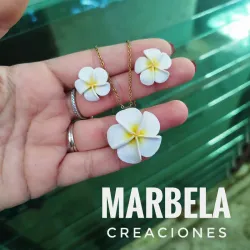 Juego de collar y aretes de Plumerias