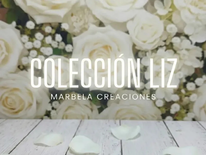 ✨ COLECCIÓN LIZ✨
