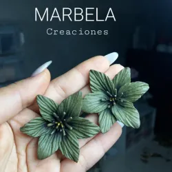 ✨Maxi Aretes Verde✨