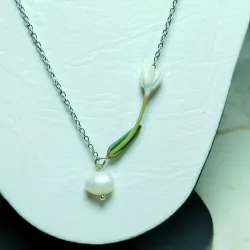 ✨ Tulipán Blanco✨