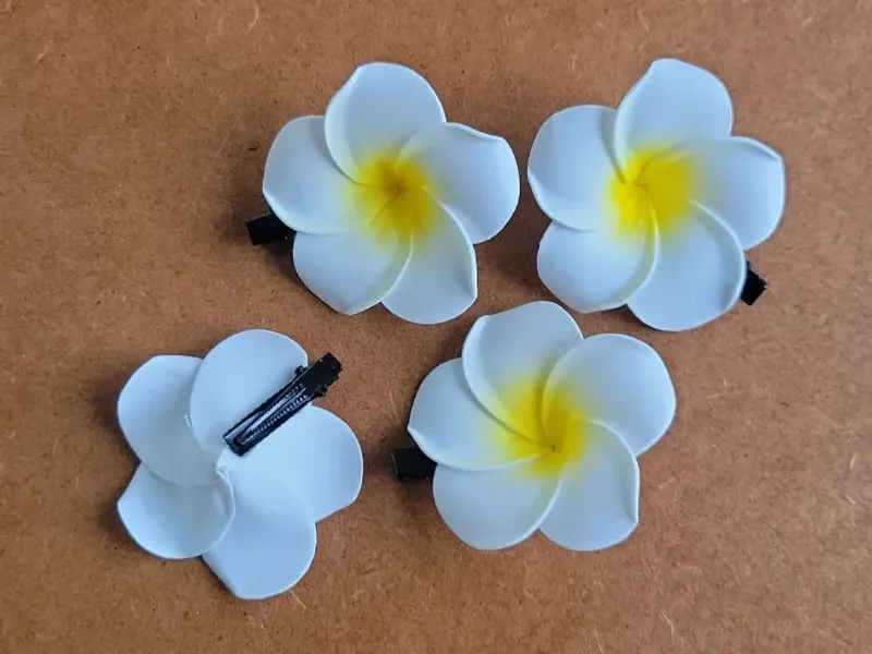 ACCESORIOS PARA EL CABELLO
