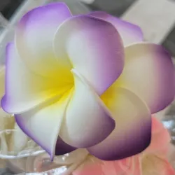 CLIP DE FLOR LILA