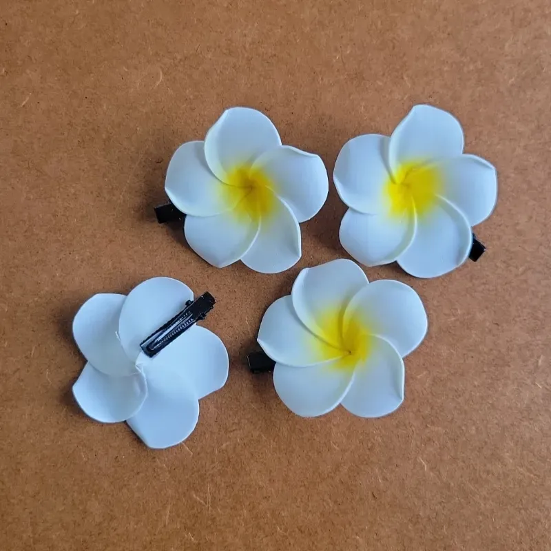 CLIPS PARA EL CABELLO