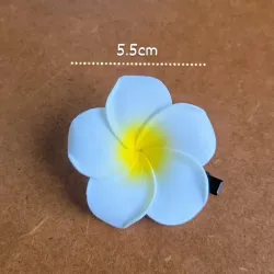 CLIPS PARA EL CABELLO