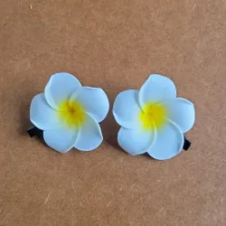 PAREJA DE CLIPS PARA EL CABELLO