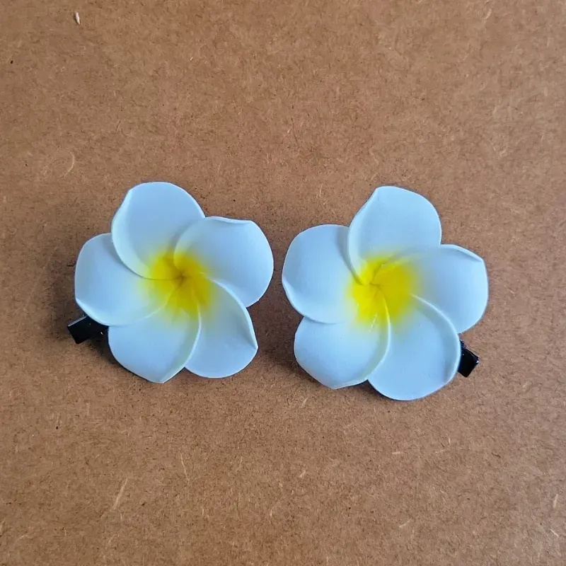 PAREJA DE CLIPS PARA EL CABELLO
