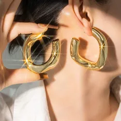 Aretes 048