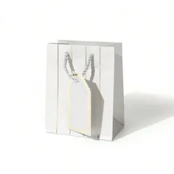 Bolsa de regalo 🎁 