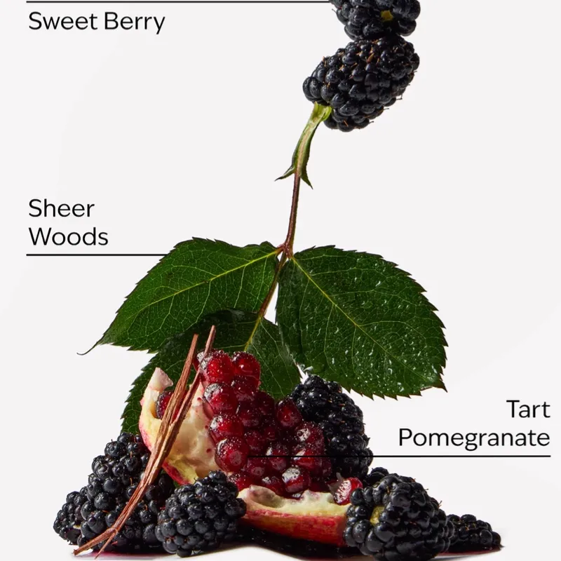 Berry Bliss 🫐