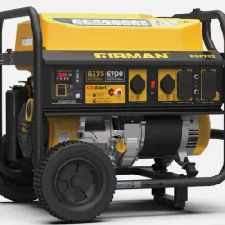 GENERADOR ELÉCTRICO FIRMAN 8350W P06702