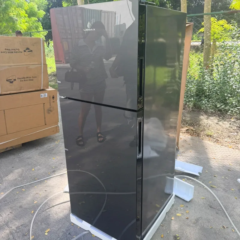 🔥 REFRIGERADOR LEMAX DE 10 PIES 🔥